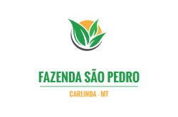 FAZENDA SÃO PEDRO