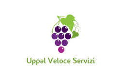 Uppal Veloce Servizi