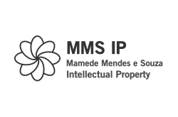 MMS IP