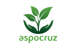 logo aspocruz