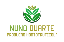 logo Nuno