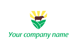 Your company name