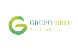 GRUPO